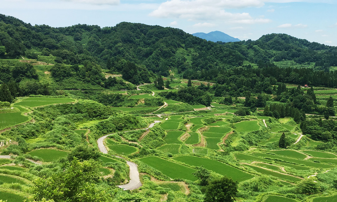 株式会社小宮山、スクリーン製版の技術をさまざまな分野に。